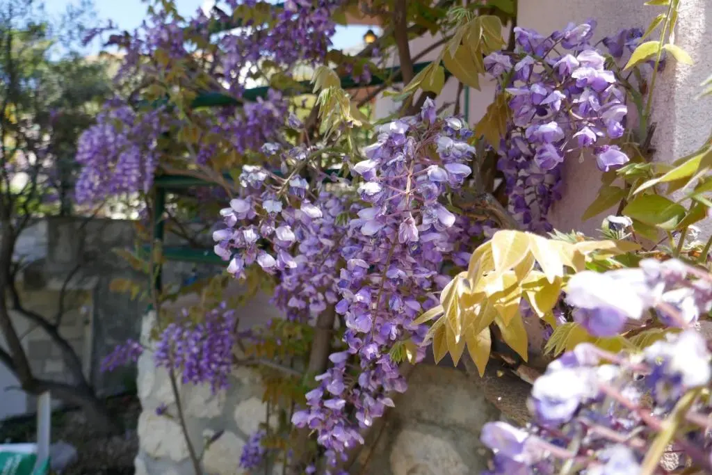 img_id_2253512.webp