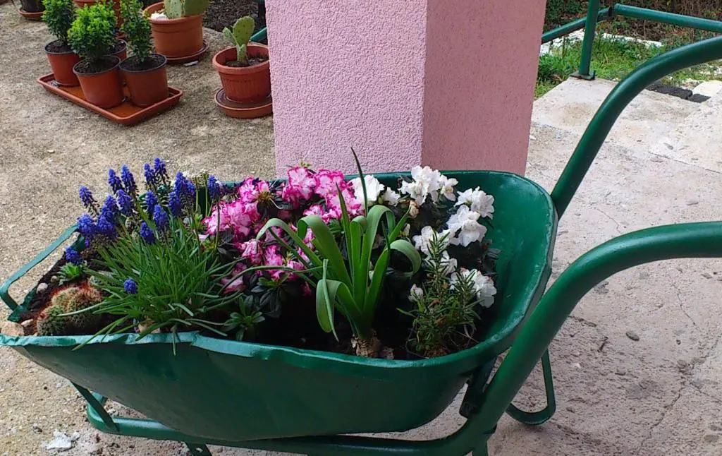 img_id_2253549.webp