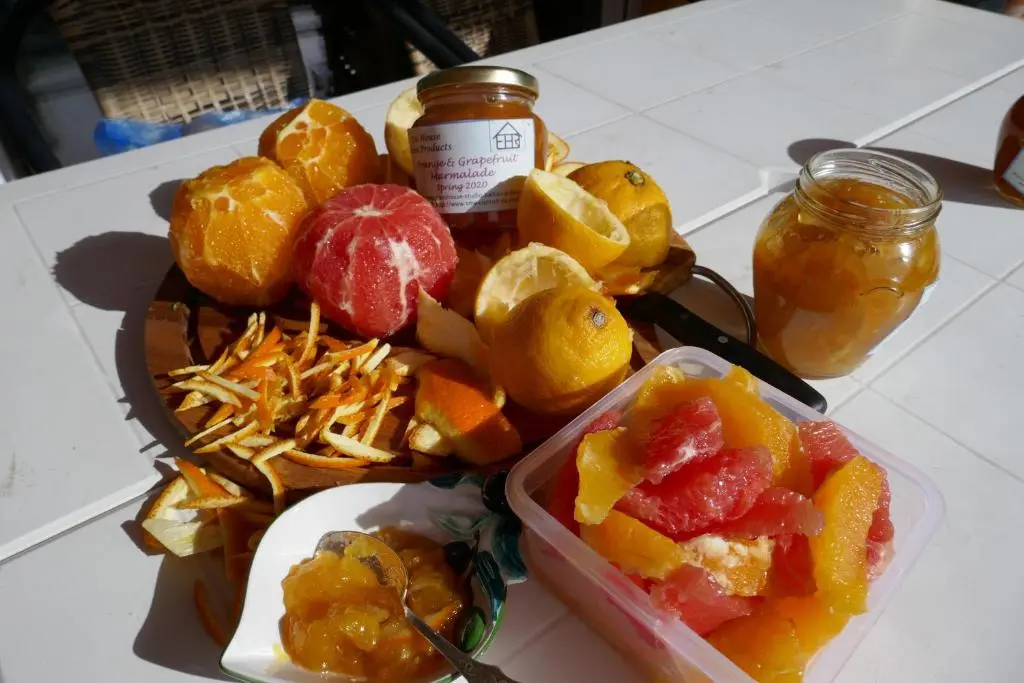 img_id_2253582.webp