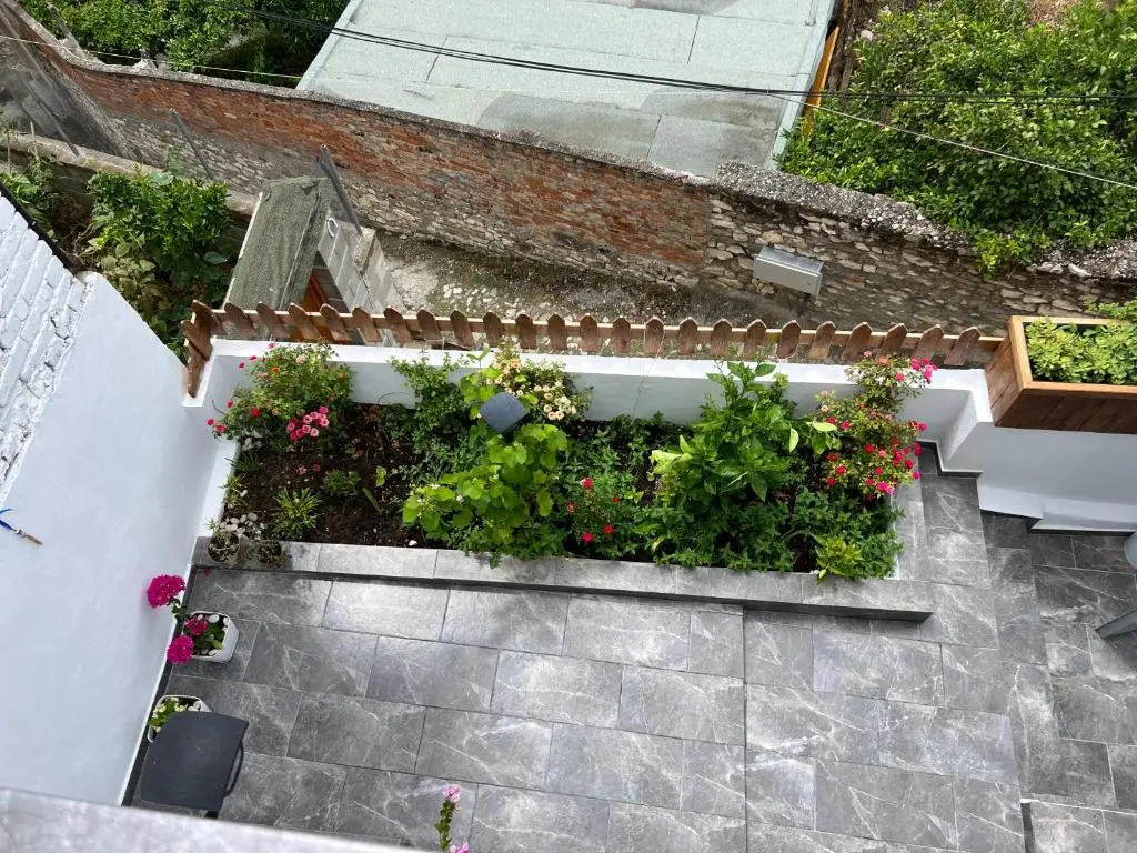 img_id_999773.webp