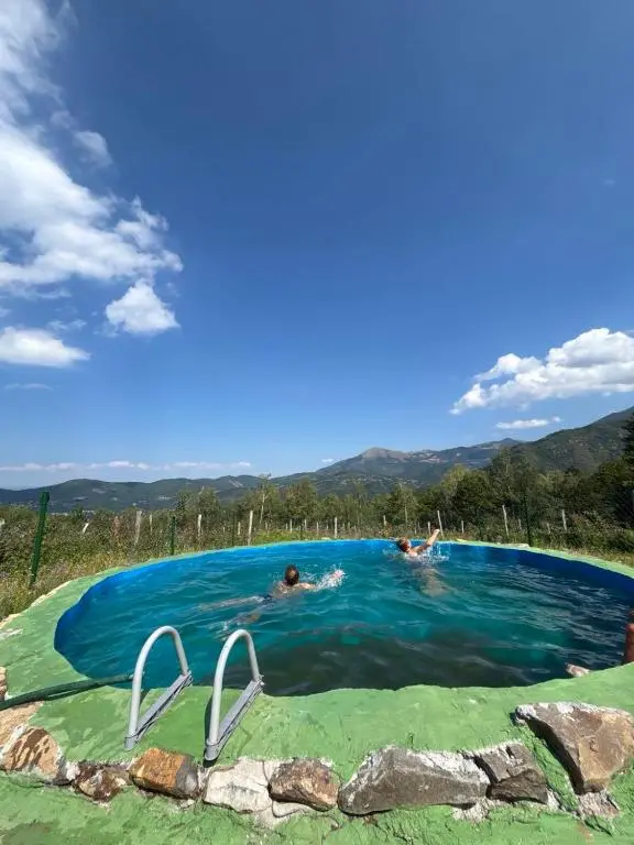 img_id_2252174.webp