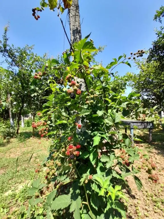 img_id_1322869.webp