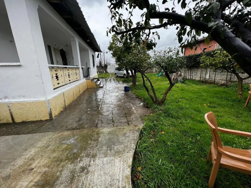 img_id_1322887.webp