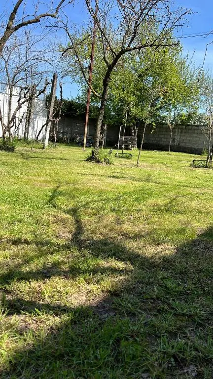 img_id_1322891.webp