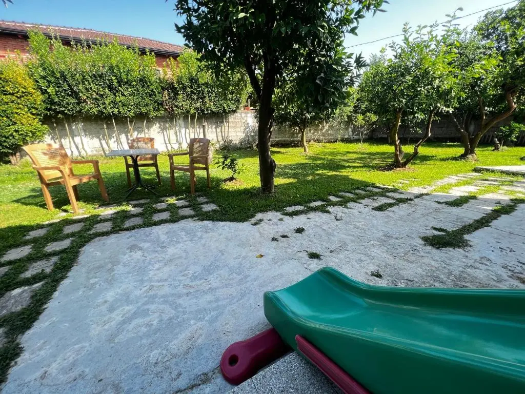 img_id_1322964.webp