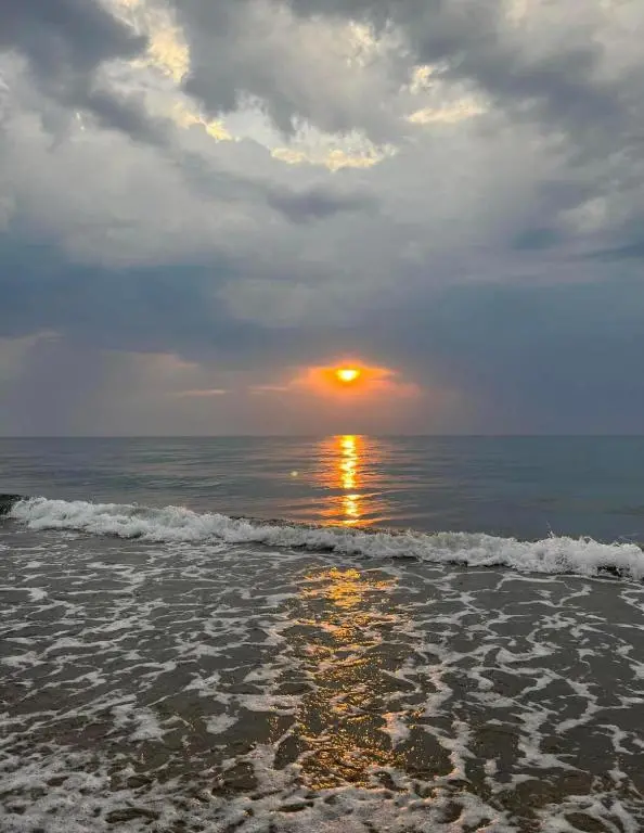 img_id_874747.webp