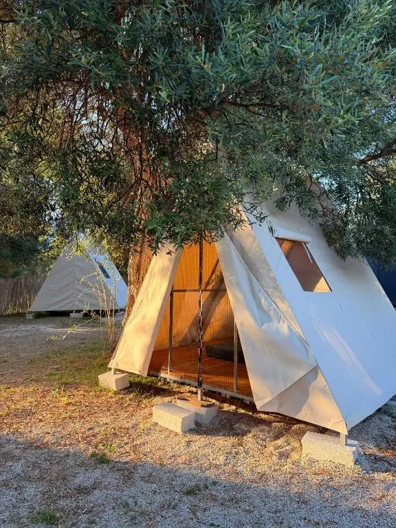 img_id_1322263.webp
