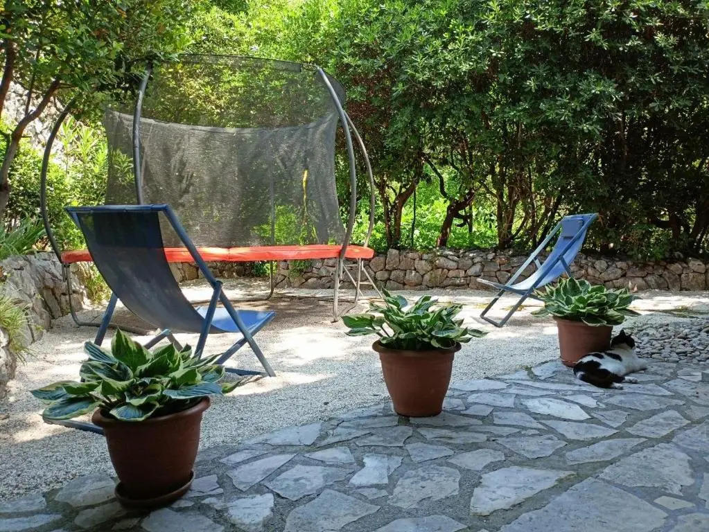 img_id_2251006.webp