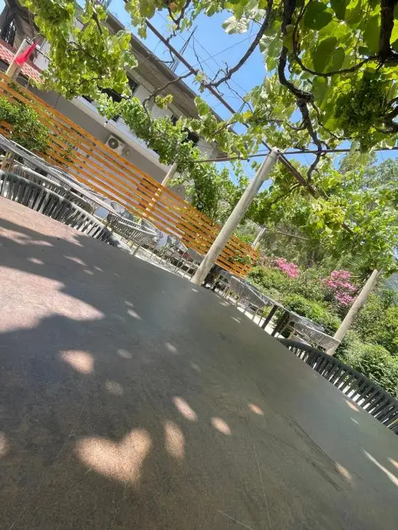 img_id_512414.webp