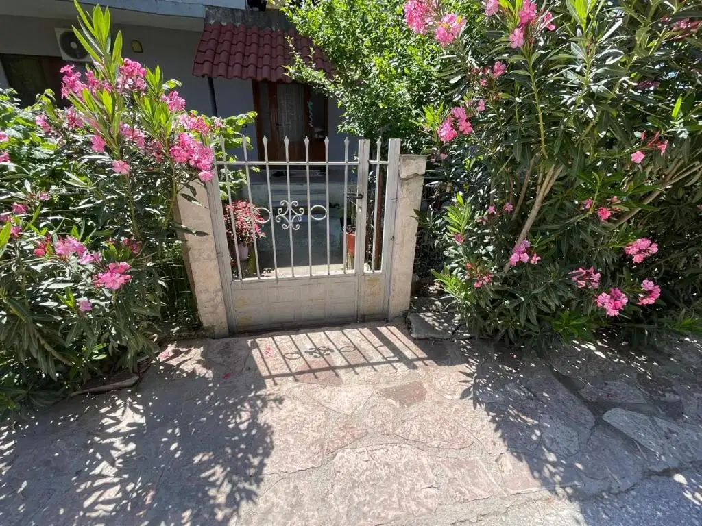 img_id_512420.webp