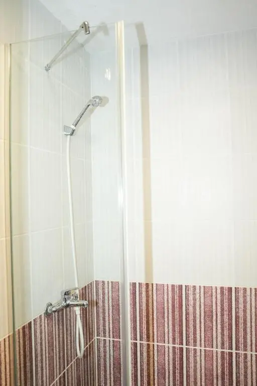 img_id_2250008.webp