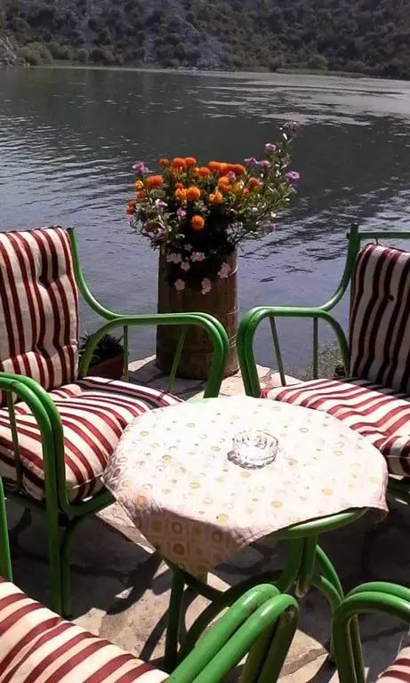 img_id_2249286.webp