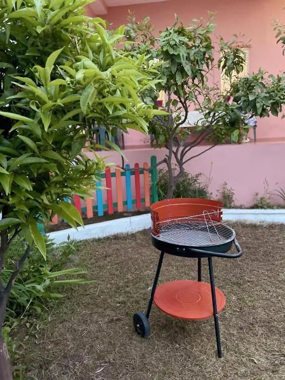 img_id_874164.webp