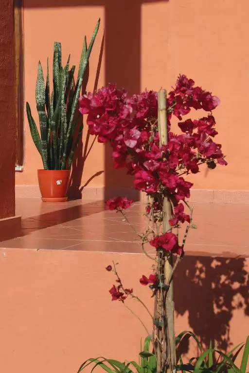 img_id_874199.webp