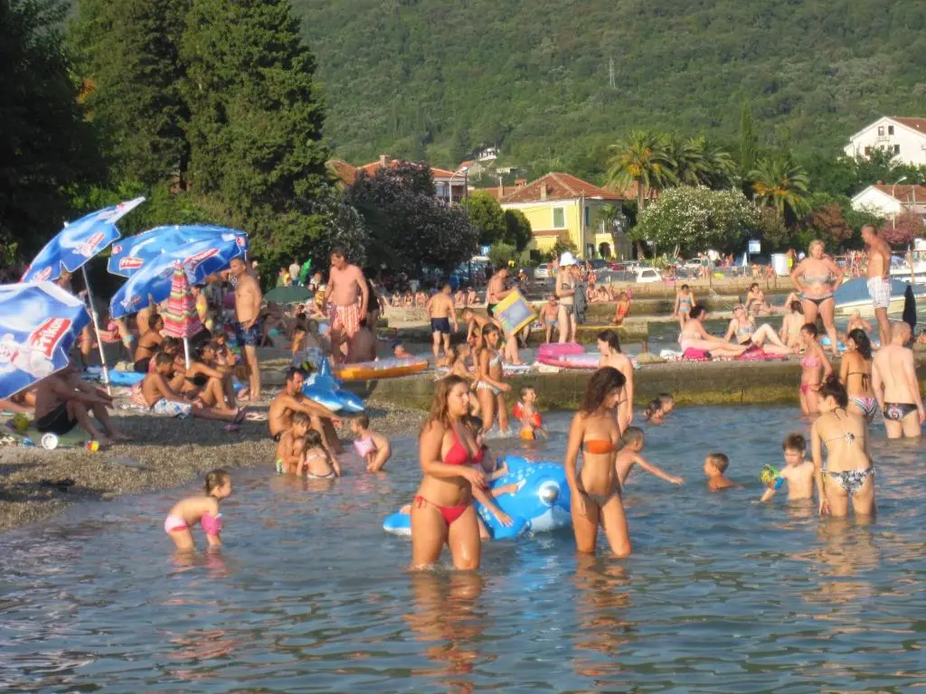 img_id_2248371.webp