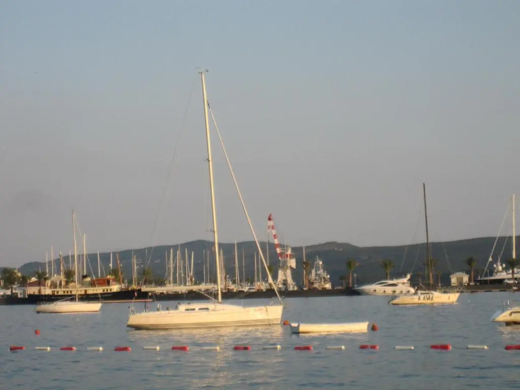 img_id_2248405.webp