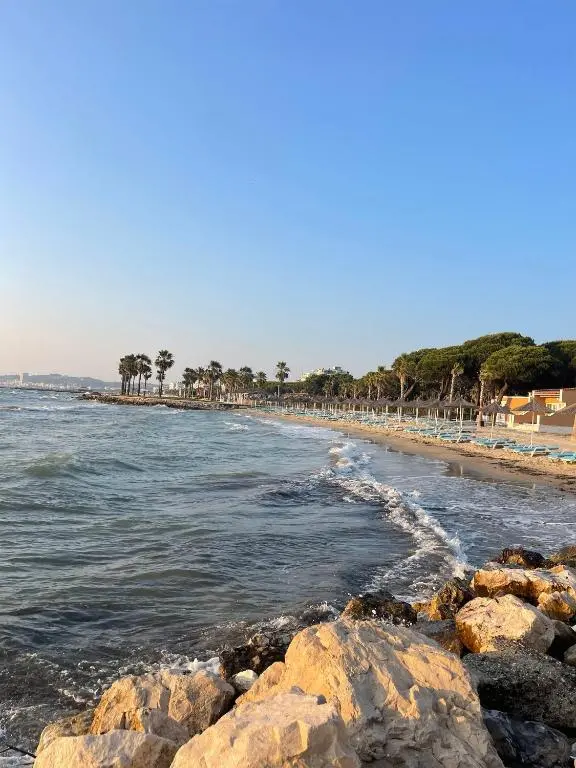 img_id_913195.webp