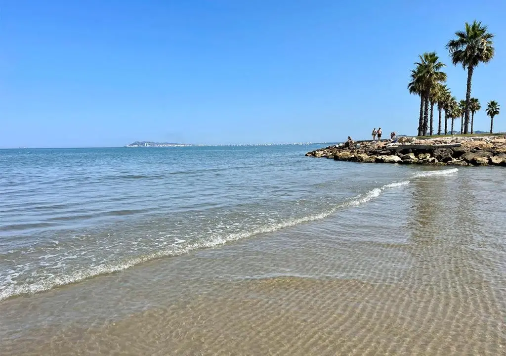 img_id_913208.webp