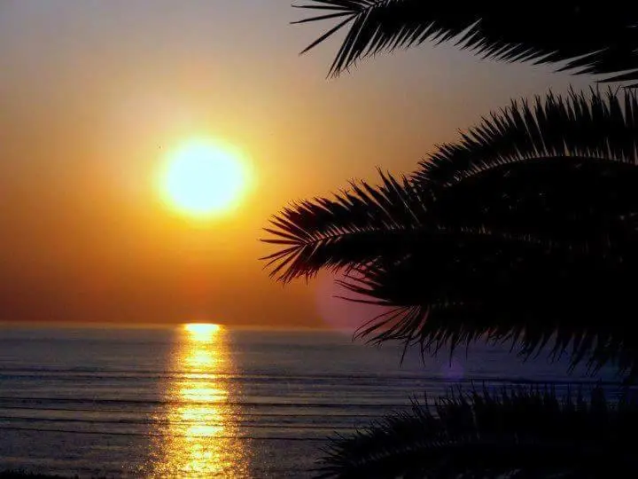 img_id_893588.webp