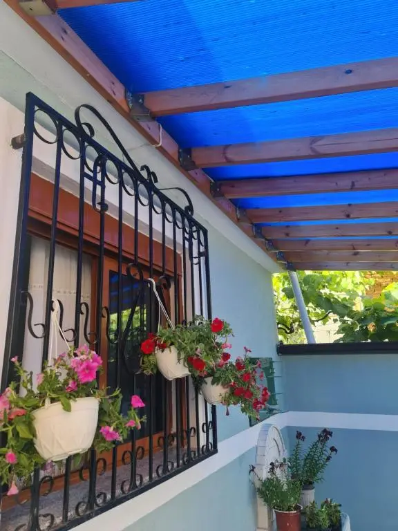 img_id_886425.webp
