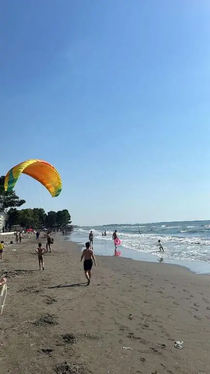 img_id_975955.webp