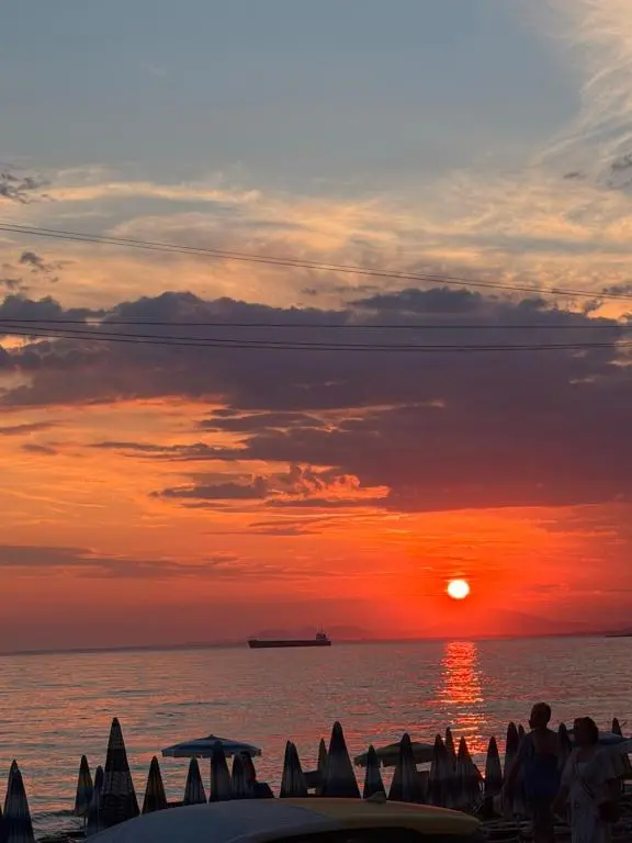 img_id_975990.webp