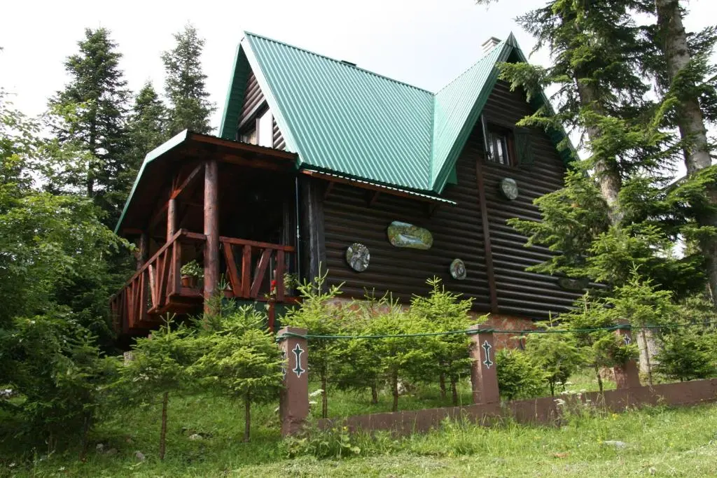 img_id_2246316.webp