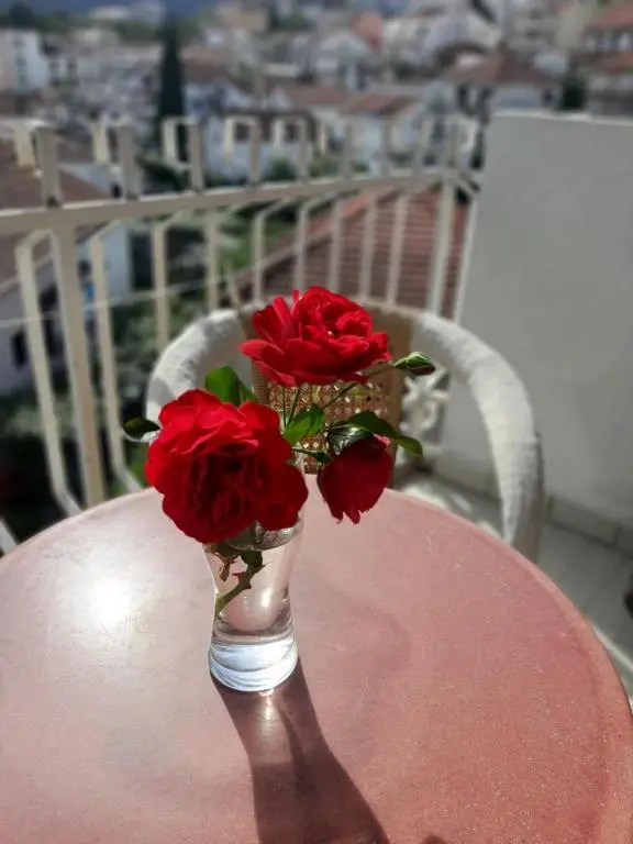 img_id_2246085.webp