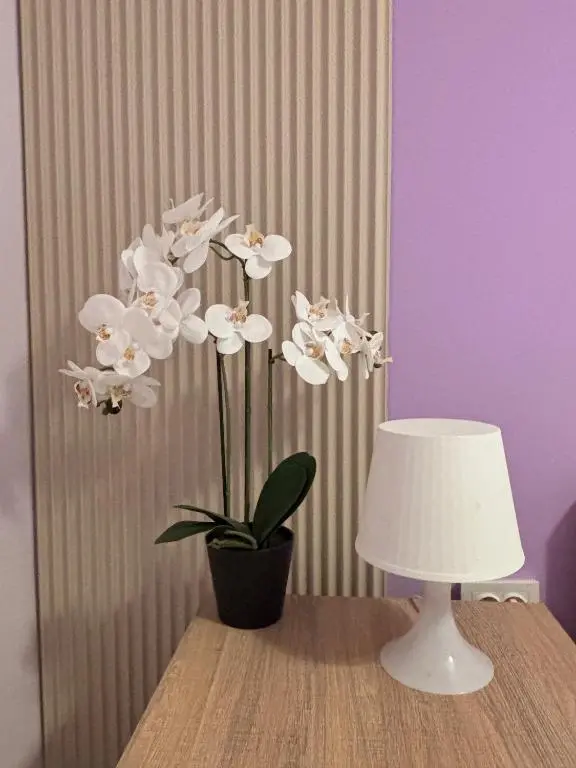 img_id_2244065.webp