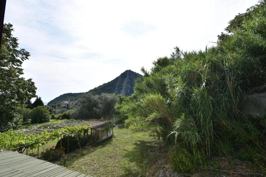 img_id_2244086.webp