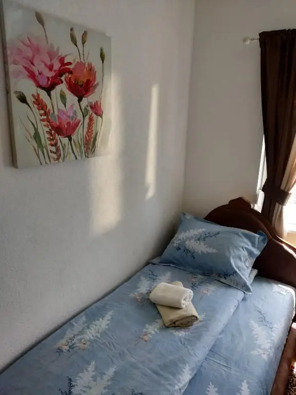 img_id_2242770.webp