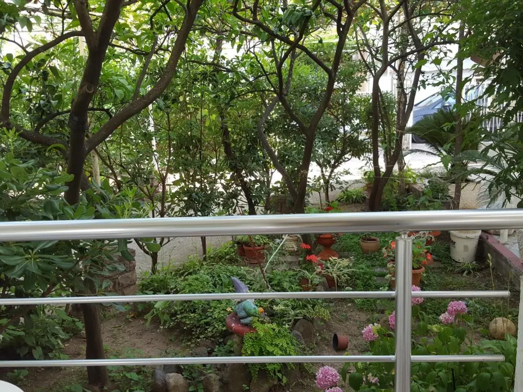 img_id_2242418.webp