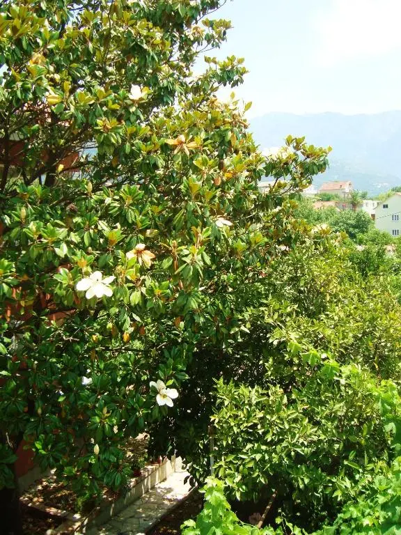 img_id_2242299.webp