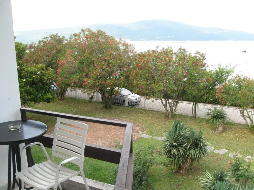 img_id_2241964.webp