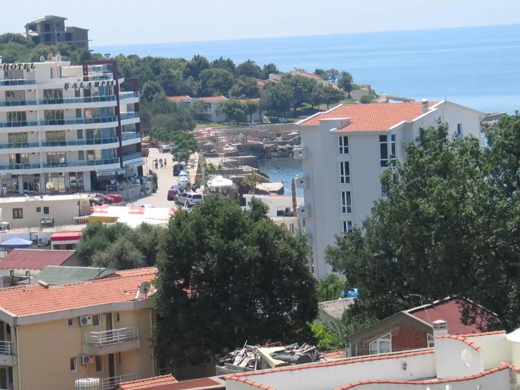 img_id_2239336.webp