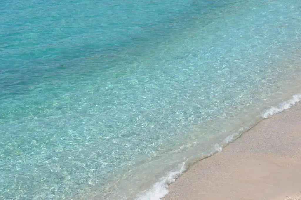 img_id_2239209.webp