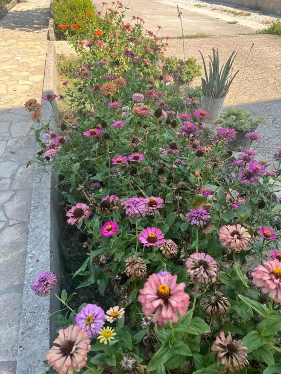 img_id_1687312.webp