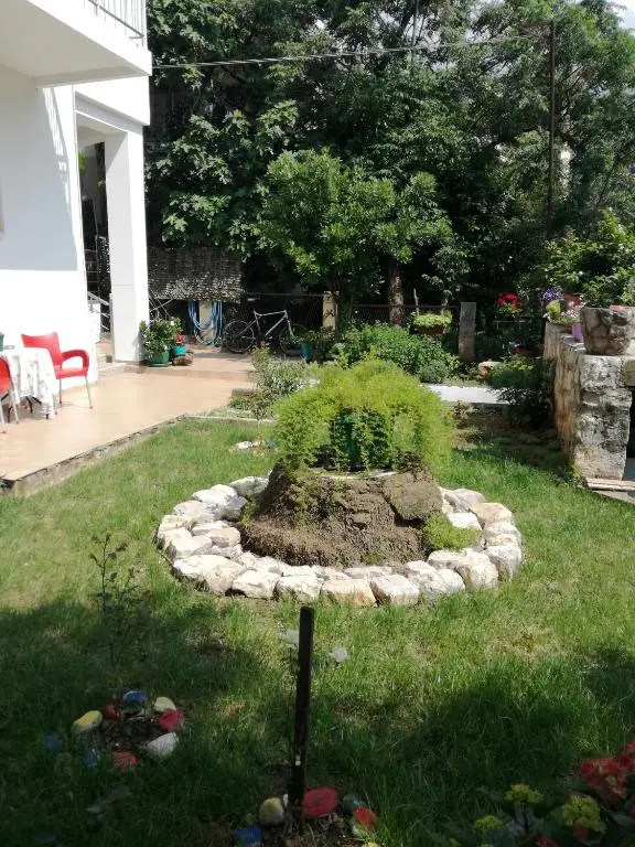 img_id_2238416.webp