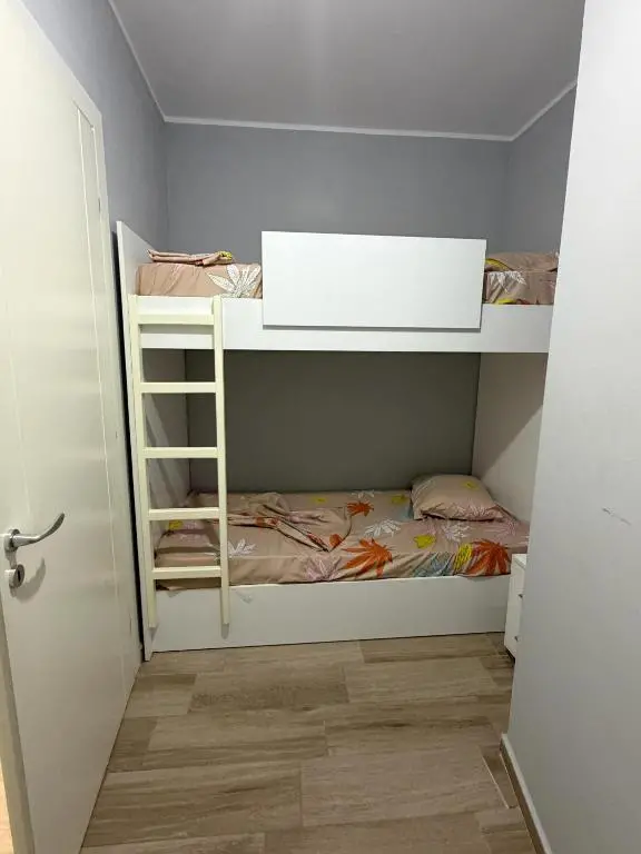 img_id_1321167.webp