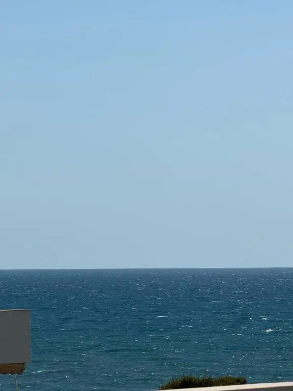 img_id_1321204.webp