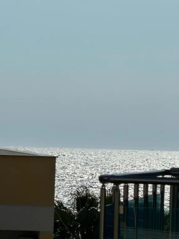 img_id_1321216.webp