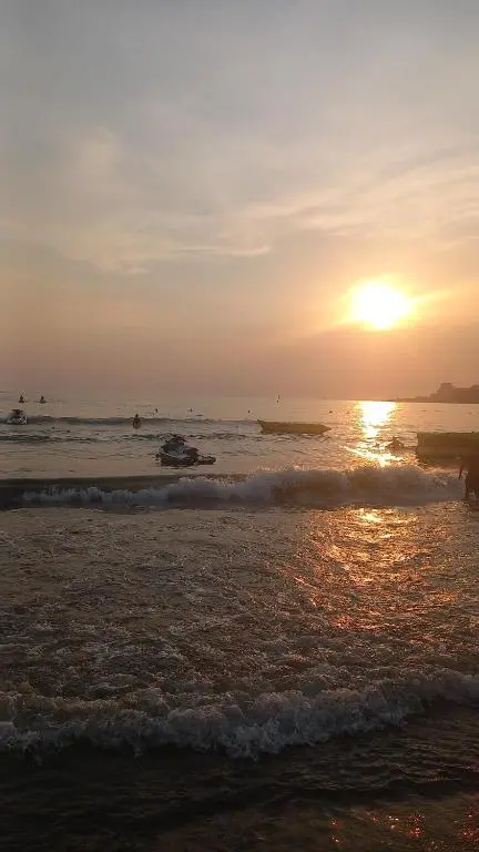img_id_1684098.webp