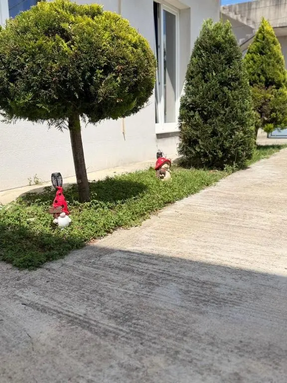 img_id_890139.webp