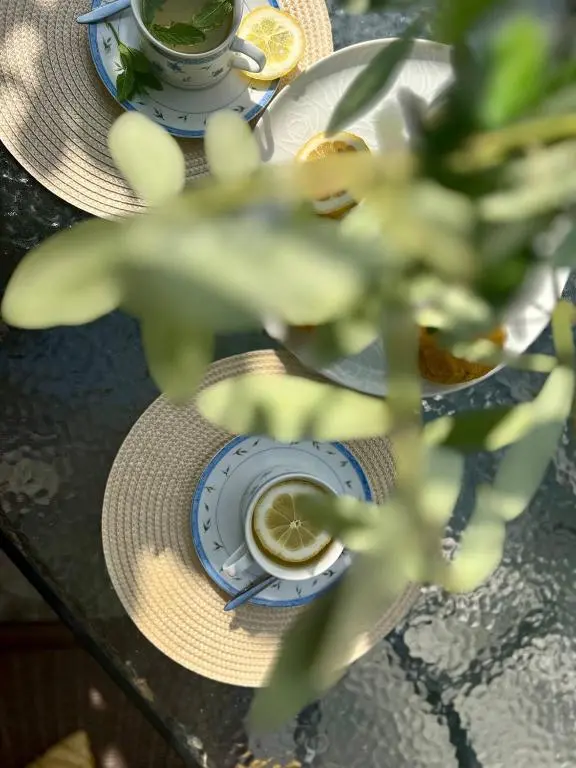 img_id_2232216.webp