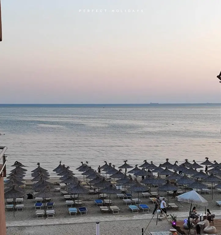 img_id_1679446.webp