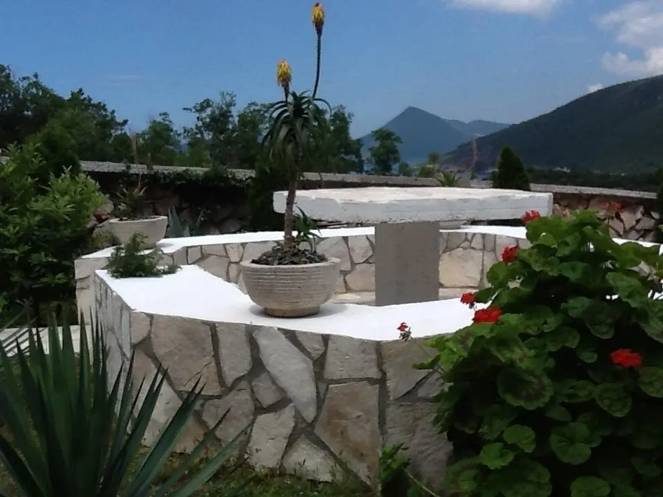 img_id_2231623.webp