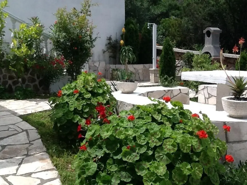 img_id_2231625.webp