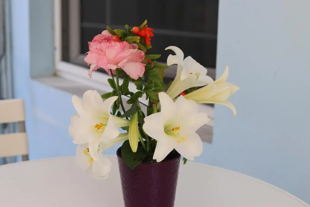 img_id_1316372.webp