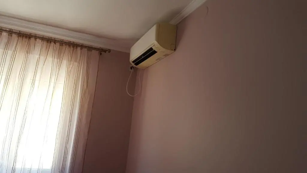 img_id_2229028.webp