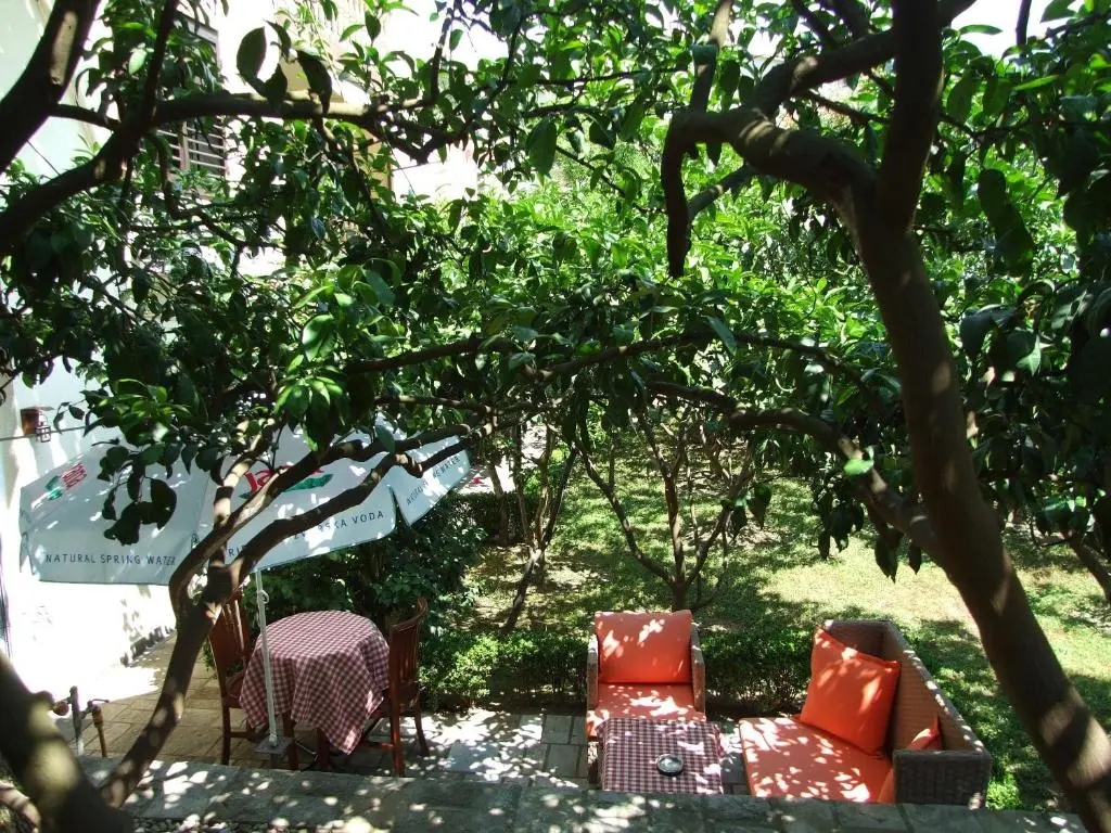 img_id_2228855.webp
